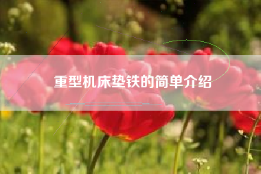 重型浙江机床垫铁的简单介绍