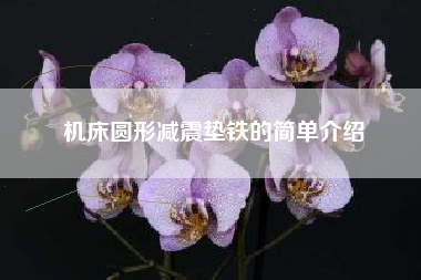 机床圆形浙江减震垫铁的简单介绍