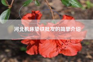 河北浙江机床垫铁批发的简单介绍 河北浙江机床垫铁批发的简单介绍