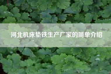 河北浙江机床垫铁生产厂家的简单介绍