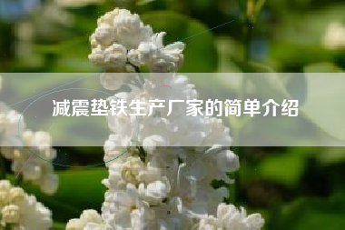 浙江减震垫铁生产厂家的简单介绍 浙江减震垫铁生产厂家的简单介绍