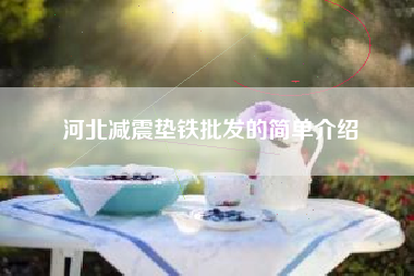 河北浙江减震垫铁批发的简单介绍