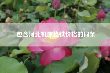 包含河北浙江机床垫铁价格的词条
