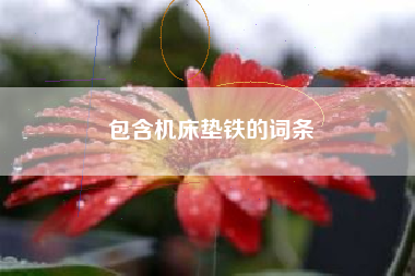 包含浙江机床垫铁的词条