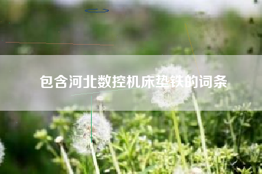 包含河北数控浙江机床垫铁的词条