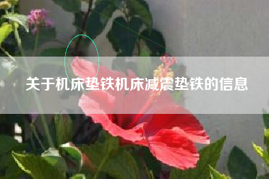 关于浙江机床垫铁机床浙江减震垫铁的信息 关于浙江机床垫铁机床浙江减震垫铁的信息