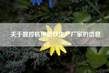 关于数控浙江机床垫铁生产厂家的信息