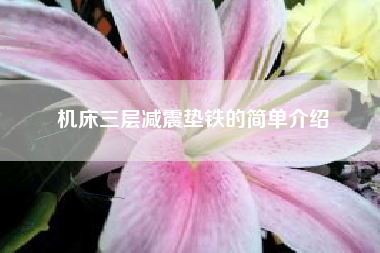 机床三层浙江减震垫铁的简单介绍 机床三层浙江减震垫铁的简单介绍