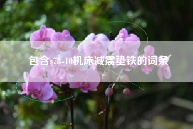 包含s78-10机床浙江减震垫铁的词条 包含s78-10机床浙江减震垫铁的词条