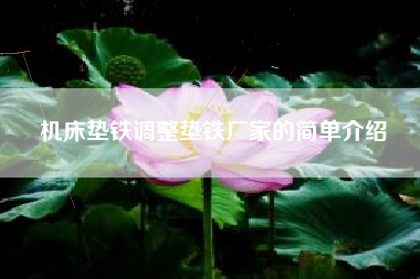 浙江机床垫铁浙江调整垫铁厂家的简单介绍