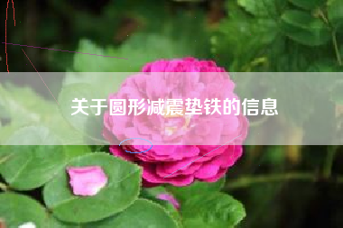 关于圆形浙江减震垫铁的信息