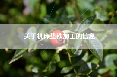 关于浙江机床垫铁加工的信息
