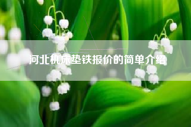 河北浙江机床垫铁报价的简单介绍