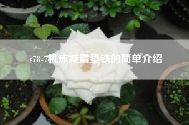 s78-7机床浙江减震垫铁的简单介绍