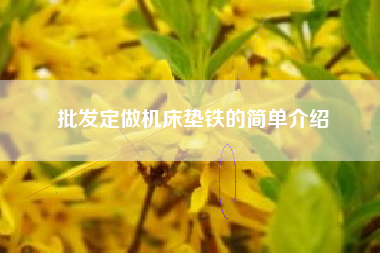 批发定做浙江机床垫铁的简单介绍