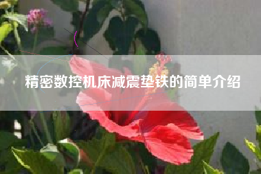 精密数控机床浙江减震垫铁的简单介绍
