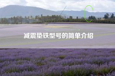 浙江减震垫铁型号的简单介绍