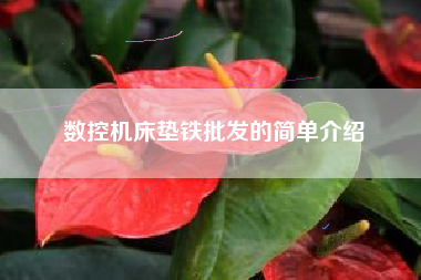 数控浙江机床垫铁批发的简单介绍