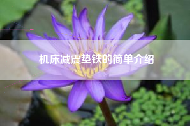 机床浙江减震垫铁的简单介绍