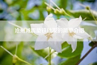 沧州浙江减震垫铁批发的简单介绍