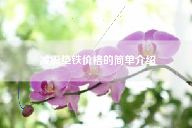 浙江减震垫铁价格的简单介绍
